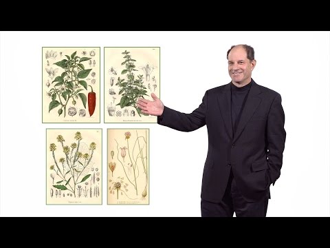 David Julius (UCSF): How peppers &amp; peppermint identified sensory receptors for temperature and pain