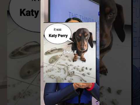 Why the Internet HATES Katy Perry Right Now